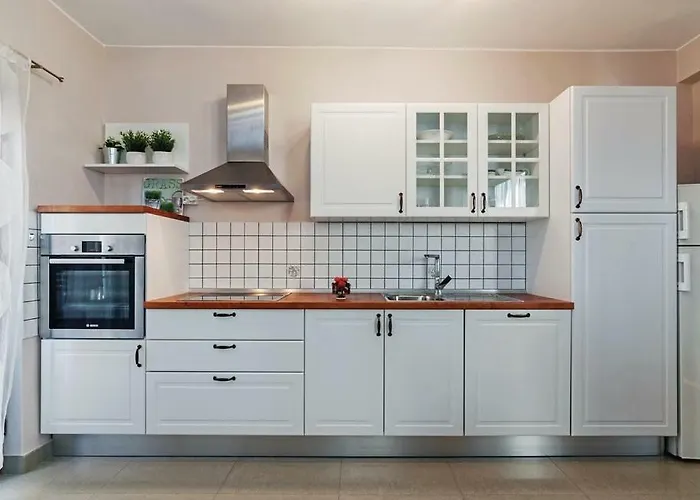 Apartment Anic House